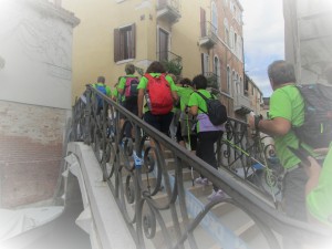 IMG_3141