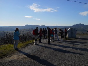 DSCN0906  