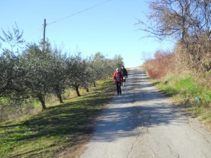 DSCN0911 