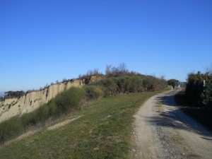 DSCN0914 