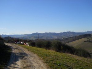 DSCN0915 