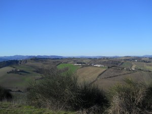 DSCN0916 