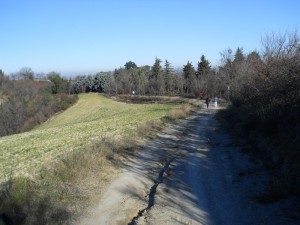 DSCN0917 