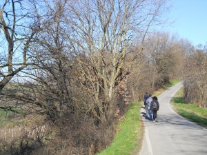 DSCN0920 