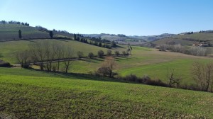 DSCN0922 20160117_113728 