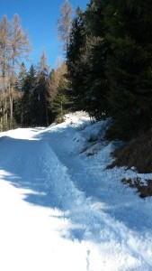 DSCN0921 20160220_121233 