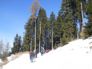 DSCN0922 