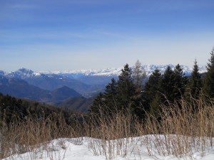 DSCN0931   