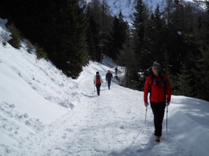 DSCN0937   