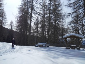 DSCN0938   