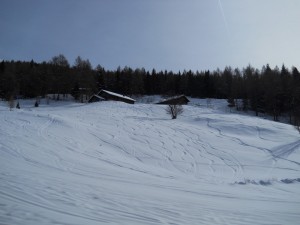 DSCN0944   