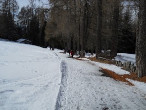 DSCN0945   