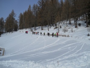 DSCN0953  