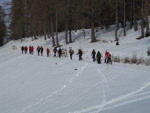 DSCN0954  