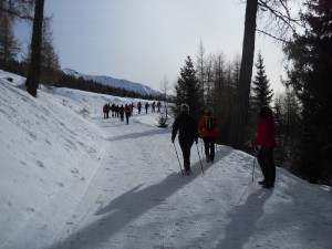 DSCN0955  