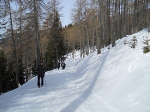 DSCN0957  