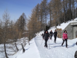 DSCN0960  