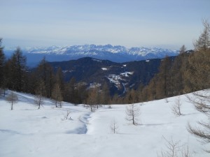 DSCN0961  
