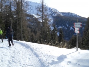 DSCN0964  