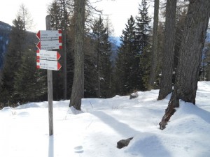 DSCN0965  