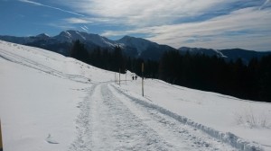 DSCN0966bis 20160221_103714  