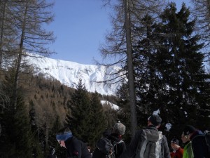 DSCN0967  