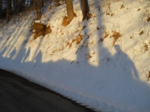 DSCN0972  