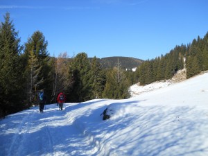 DSCN0981  