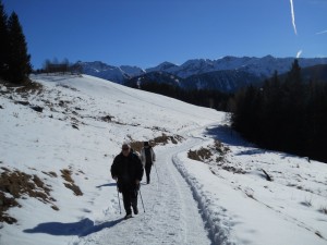 DSCN0983  