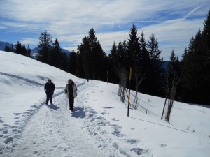 DSCN0984  