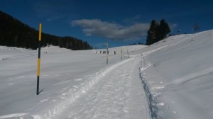 DSCN0984bis20160221_101410  