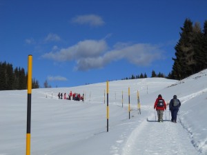 DSCN0985  