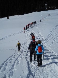 DSCN0991  