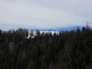 DSCN0994  