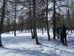 DSCN0997  