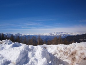P2200395   