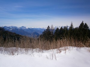 P2200410   
