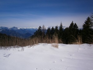 P2200418  