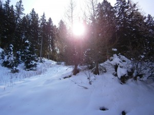 P2200423  