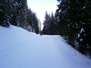 P2200431  
