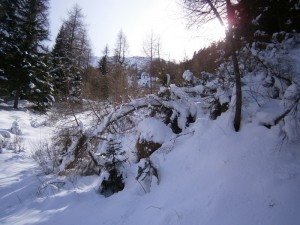 P2200442  