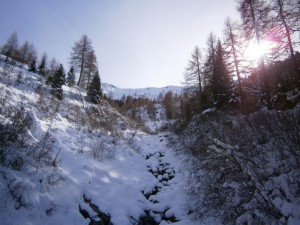 P2200466  