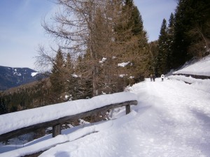 P2200468  