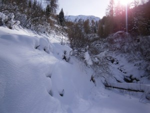 P2200470  