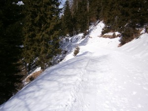 P2200474  