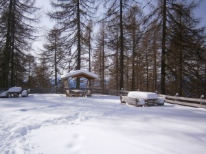 P2200476  