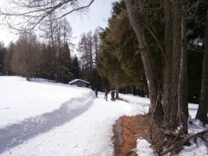 P2200482  