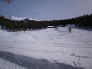 P2200483  