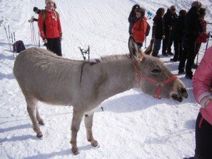 P2200491  