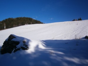 P2210525  